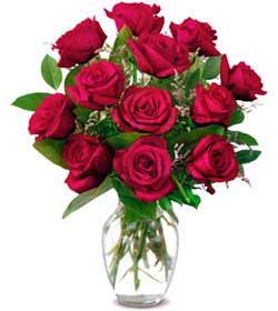 Ankarade farklı bir çiçek firması ürünü   Sevgiye hasret gülleri Ankara çiçek gönder firması şahane ürünümüz 